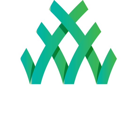 Straight Edge Lawn Maintenance Website Project
